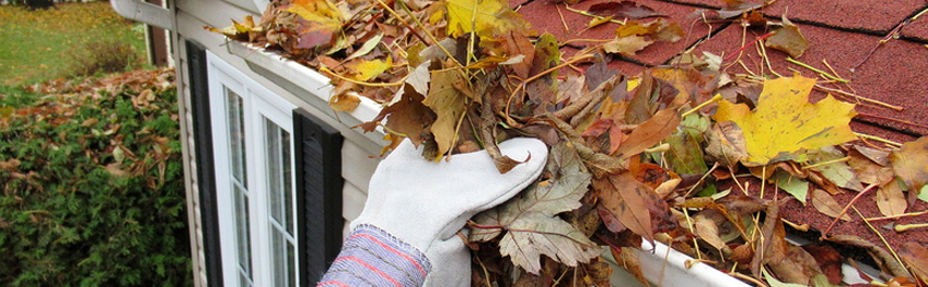 Debris removal
